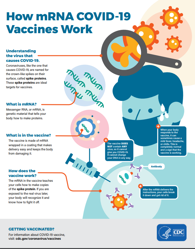 Learn-More-about-mRNA-Vaccines